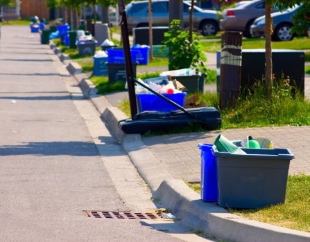 Recycling bins in a Herne Hill community area